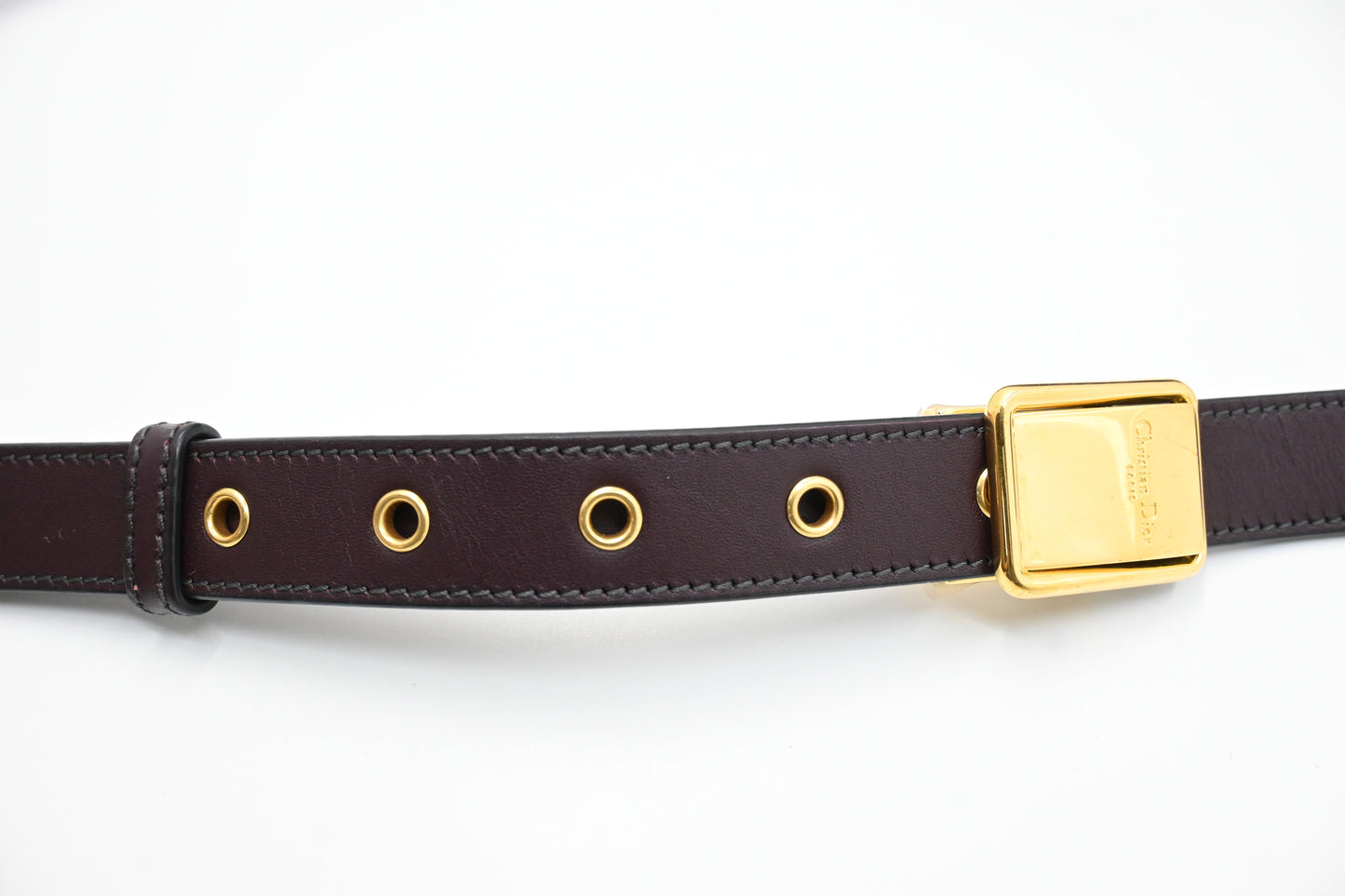 Dior Montaigne 30 in Burgundy Oblique Canvas