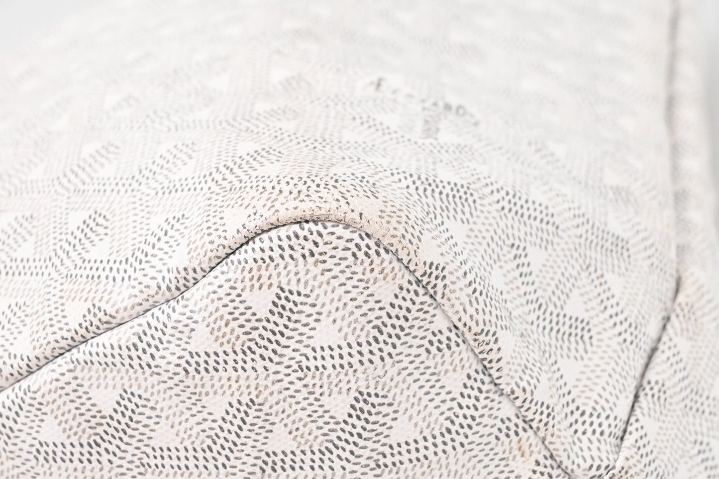 Goyard Saint Louis PM in White Goyardine Canvas