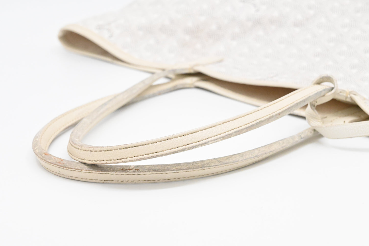 Goyard Saint Louis PM in White Goyardine Canvas