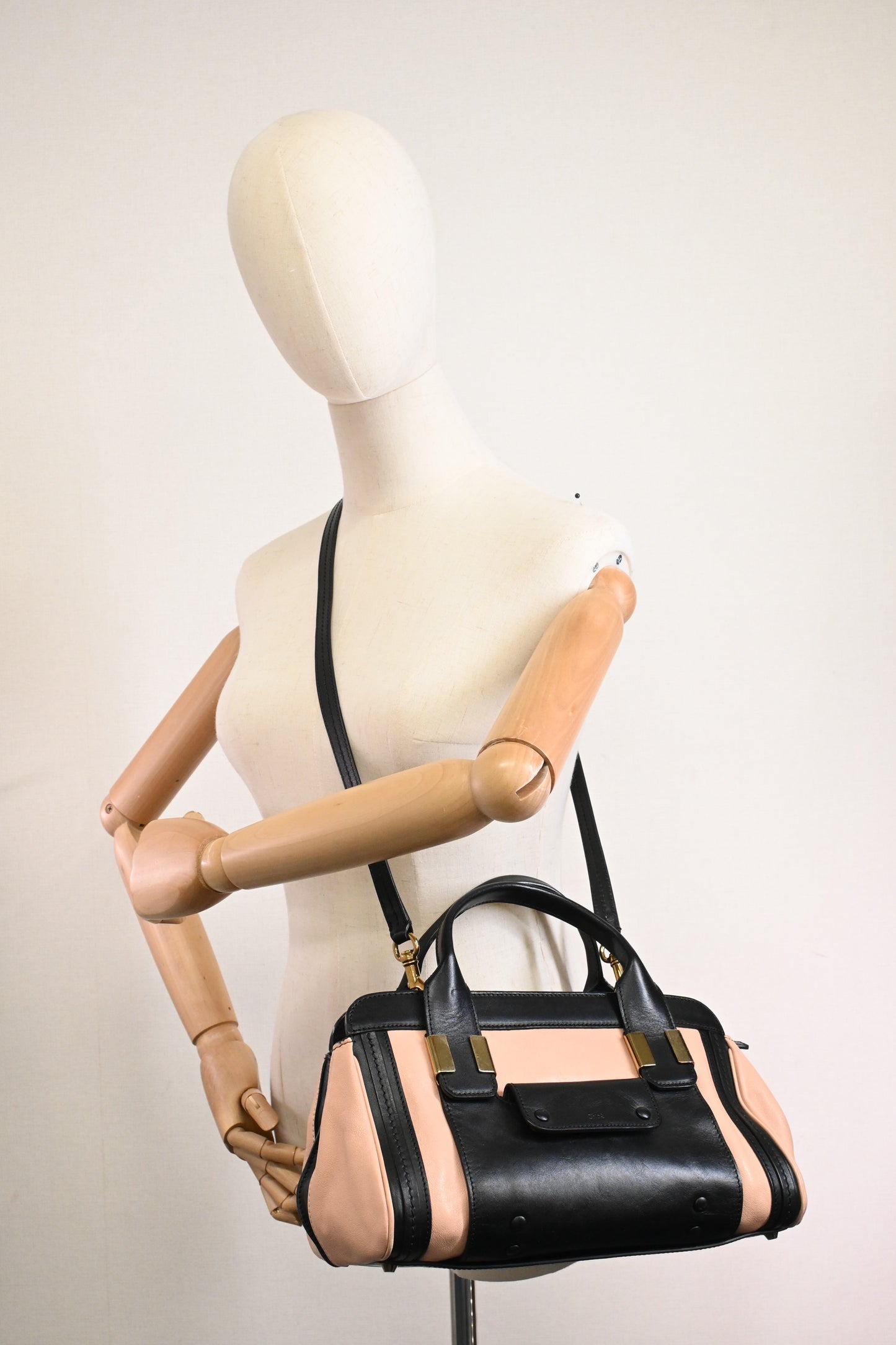 Chloe Alice Bag in Pink and Black Leather