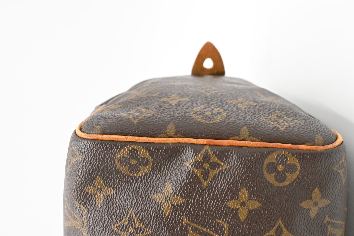 Louis Vuitton Speedy 25 in Monogram Canvas