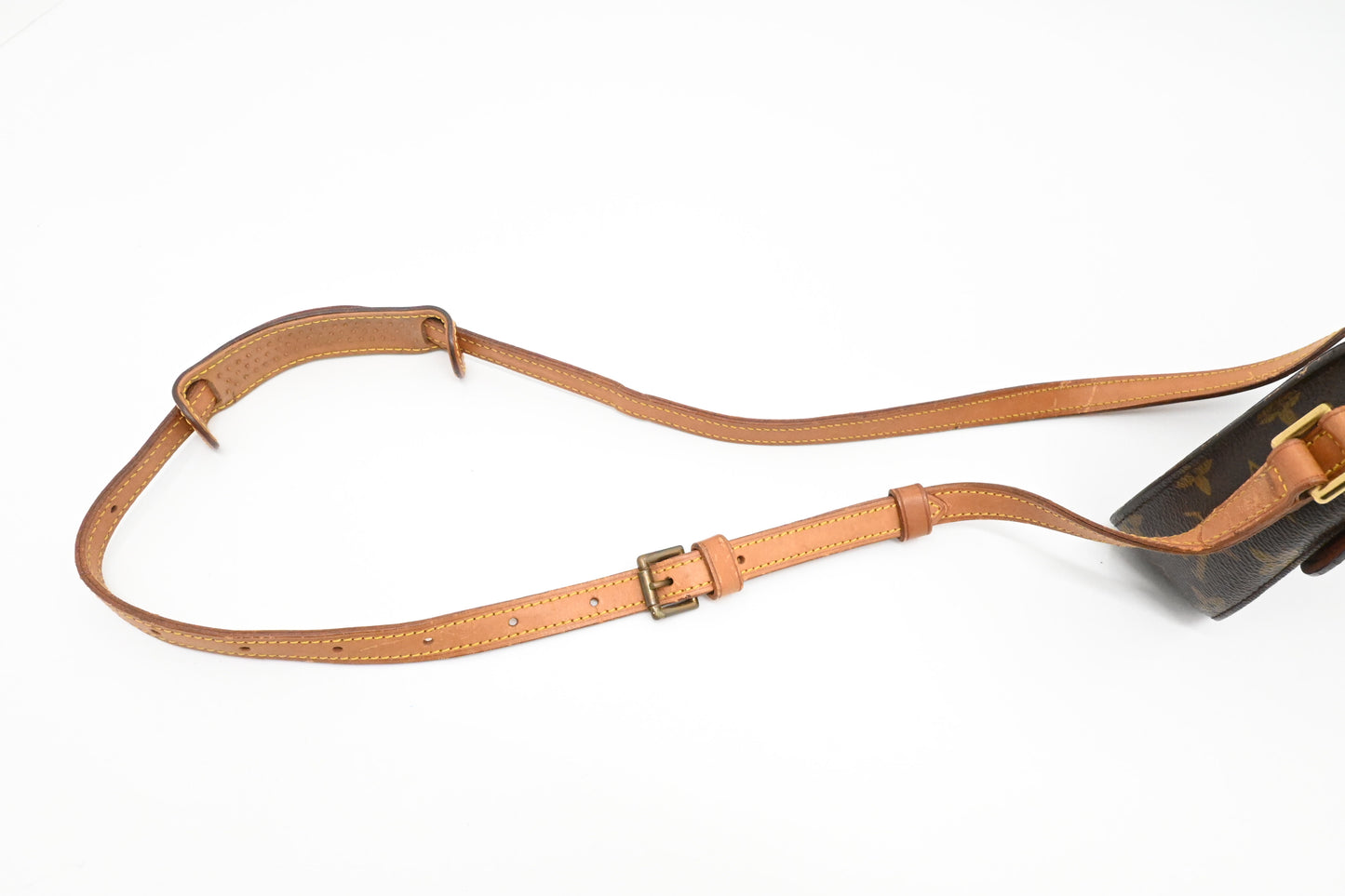Louis Vuitton Saint Cloud PM in Monogram Canvas