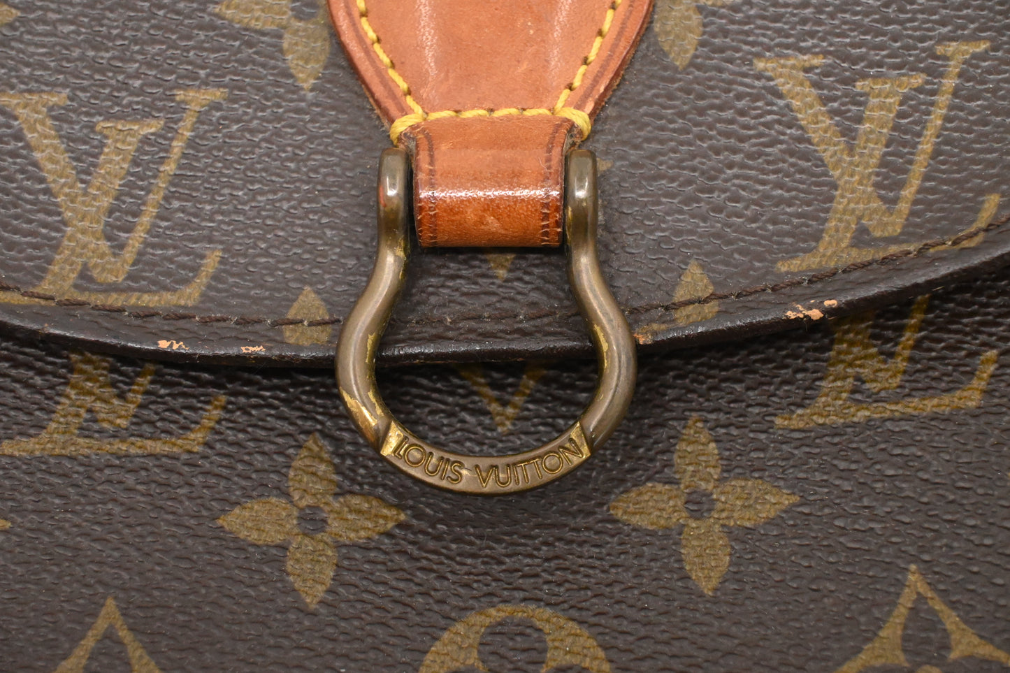 Louis Vuitton Saint Cloud PM in Monogram Canvas