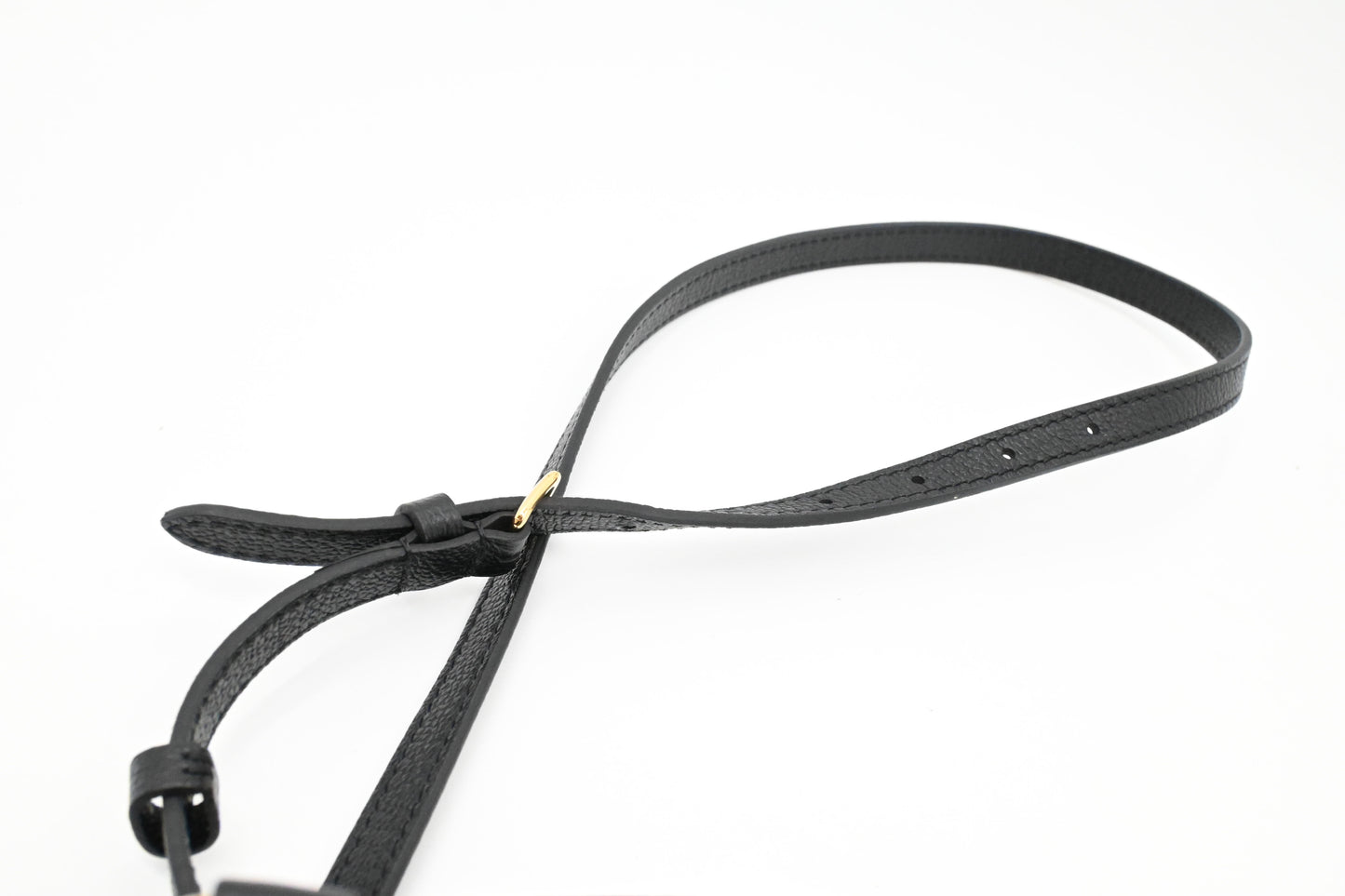 Louis Vuitton OnTheGo PM in Black Empriente Leather