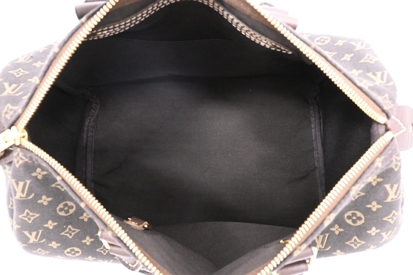 Louis Vuitton Speedy 30 in Fusain Minilin Canvas