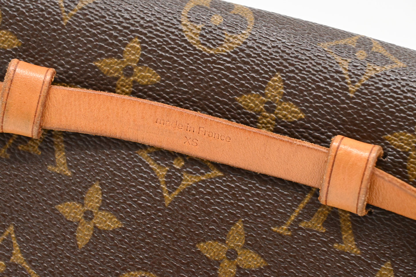 Louis Vuitton Pochette Florentine in Monogram Canvas