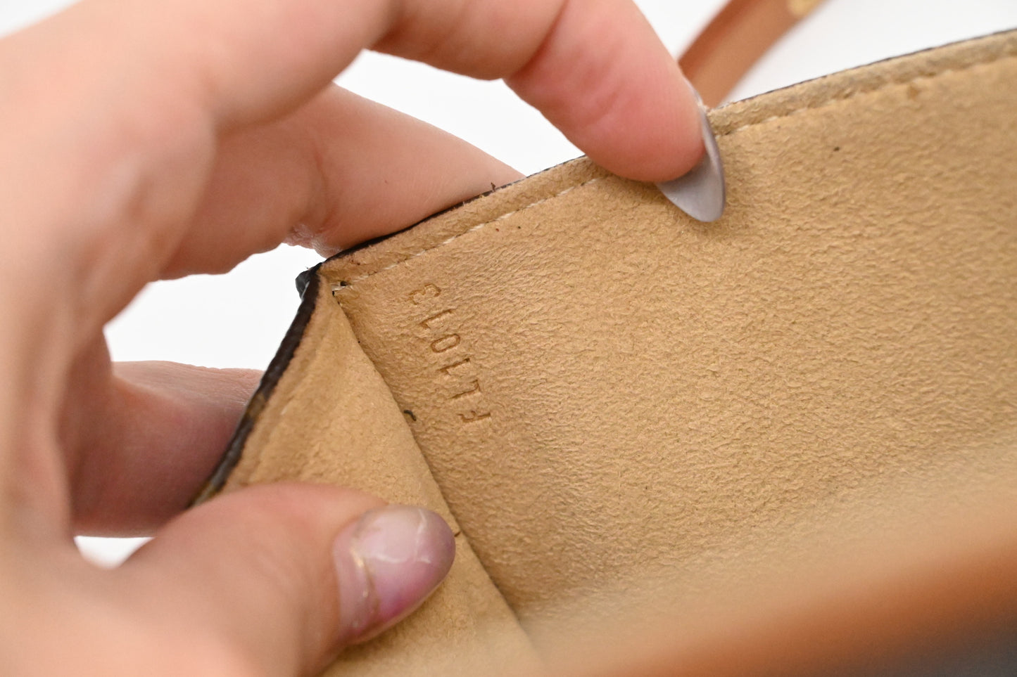 Louis Vuitton Pochette Florentine in Monogram Canvas