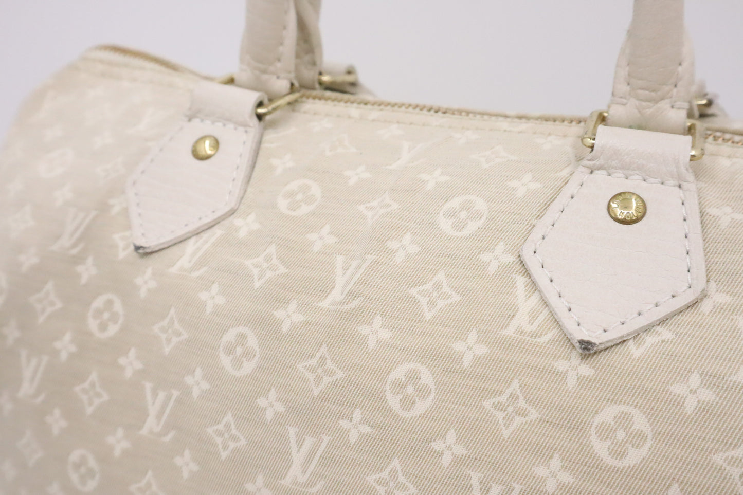 Louis Vuitton Speedy 30 in Dune Monogram Canvas