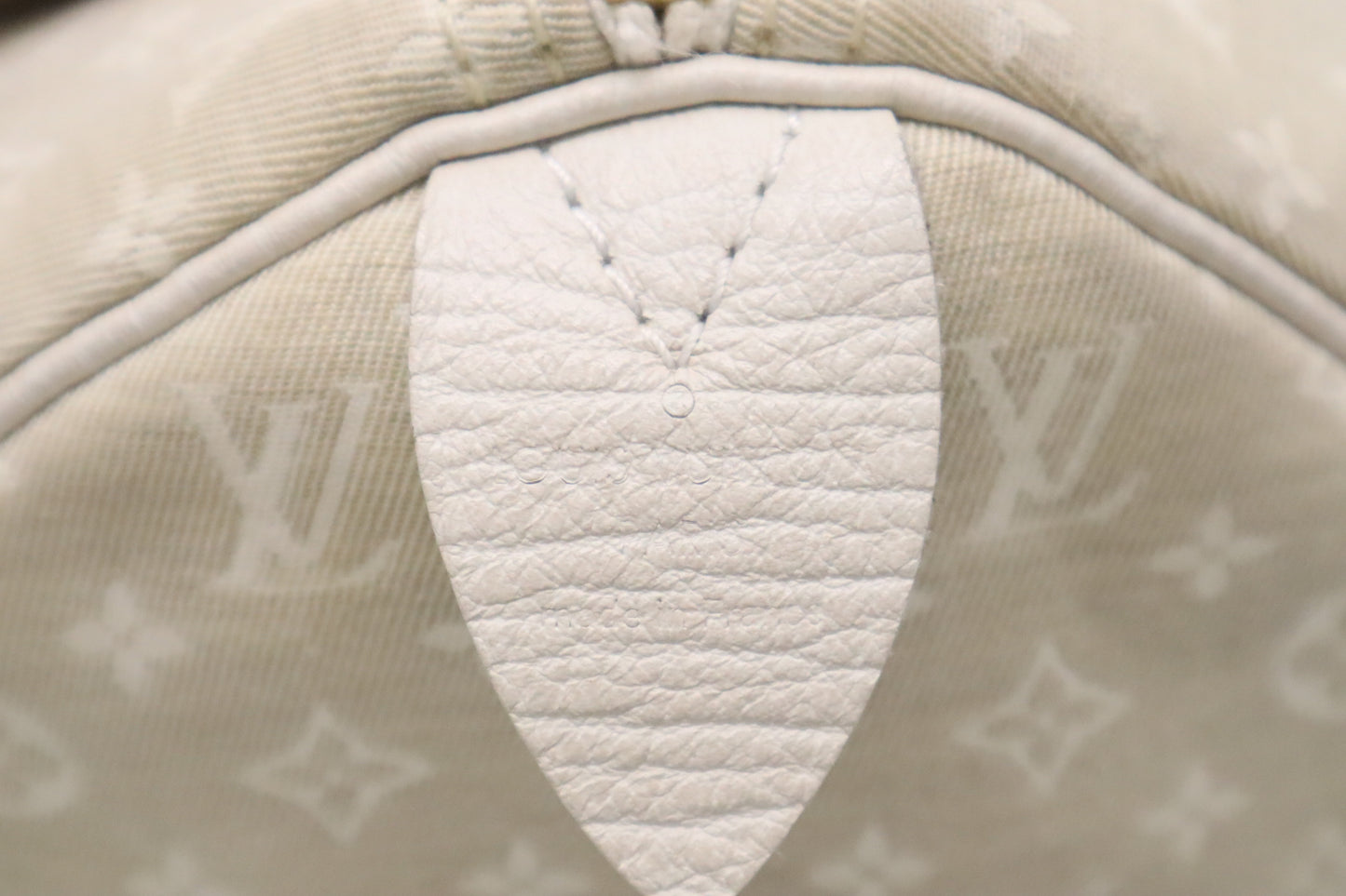 Louis Vuitton Speedy 30 in Dune Monogram Canvas