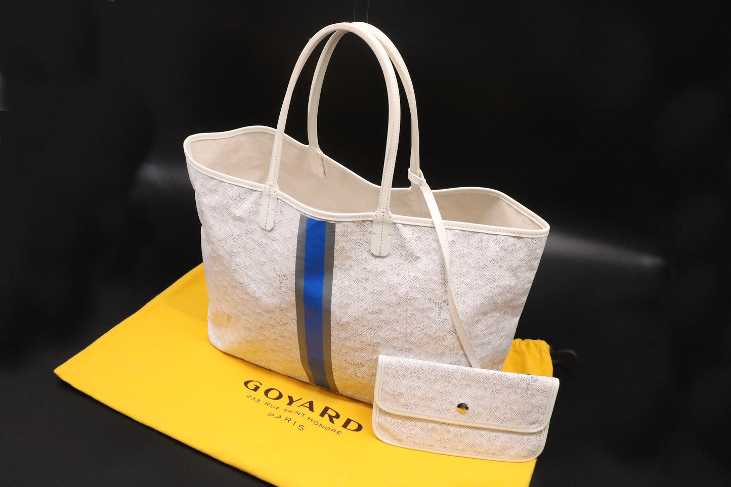 Goyard Saint-Louis PM in White Goyardine Canvas with Blue Stripe