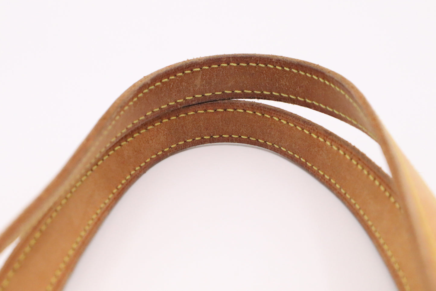 Louis Vuitton Bucket PM in Monogram Canvas