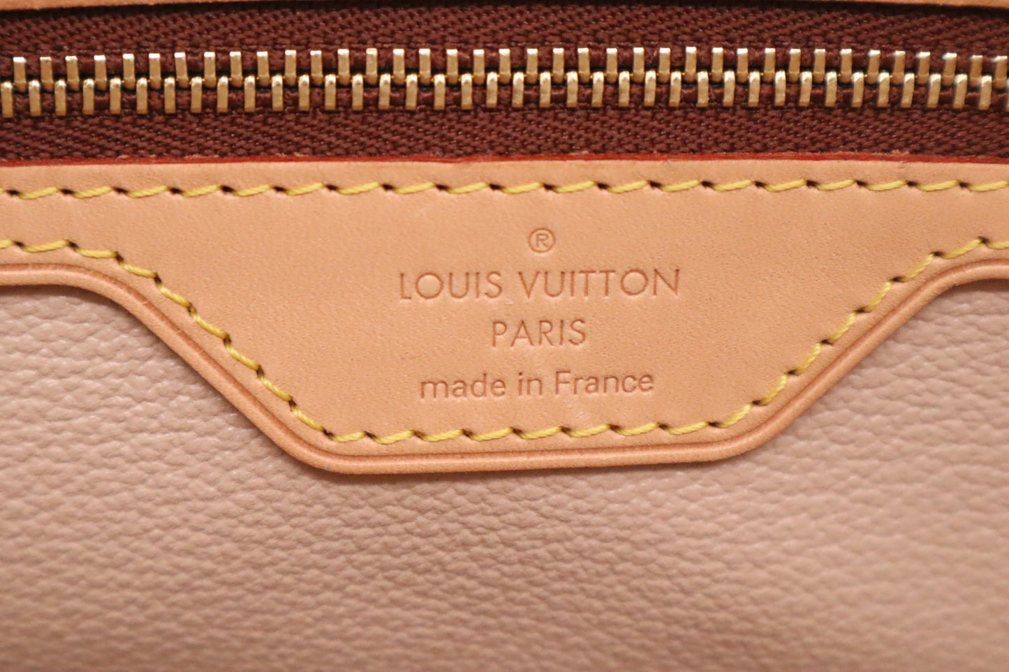 Louis Vuitton Bucket PM in Monogram Canvas