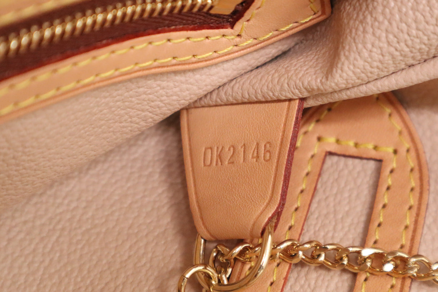 Louis Vuitton Bucket PM in Monogram Canvas