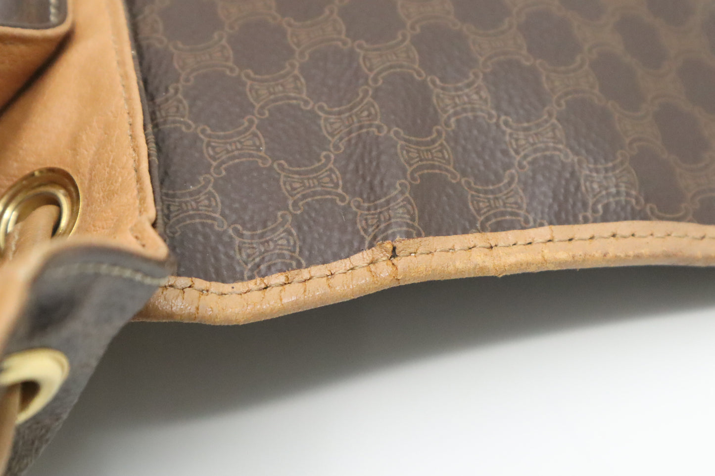 Celine Backpack in Brown Macadam Canvas