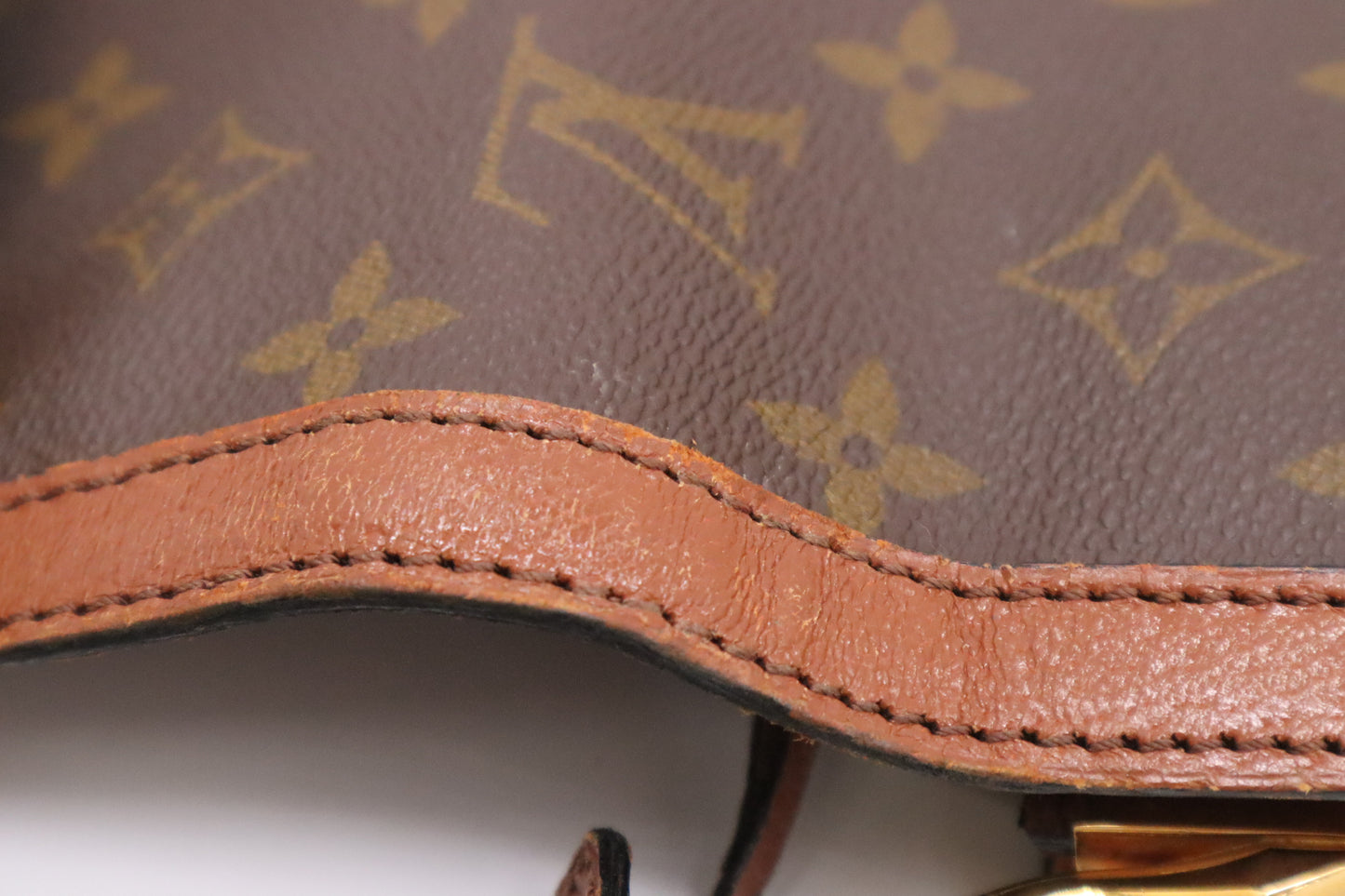 Louis Vuitton Sac Dauphine in Monogram Canvas