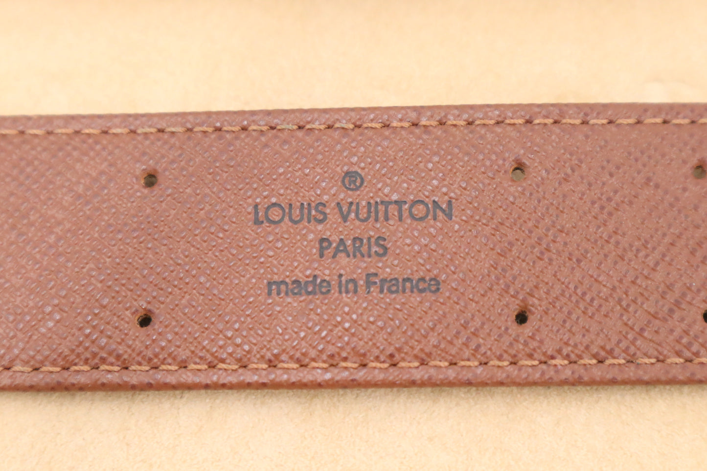 Louis Vuitton Poche Monte Carlo in Monogram Canvas
