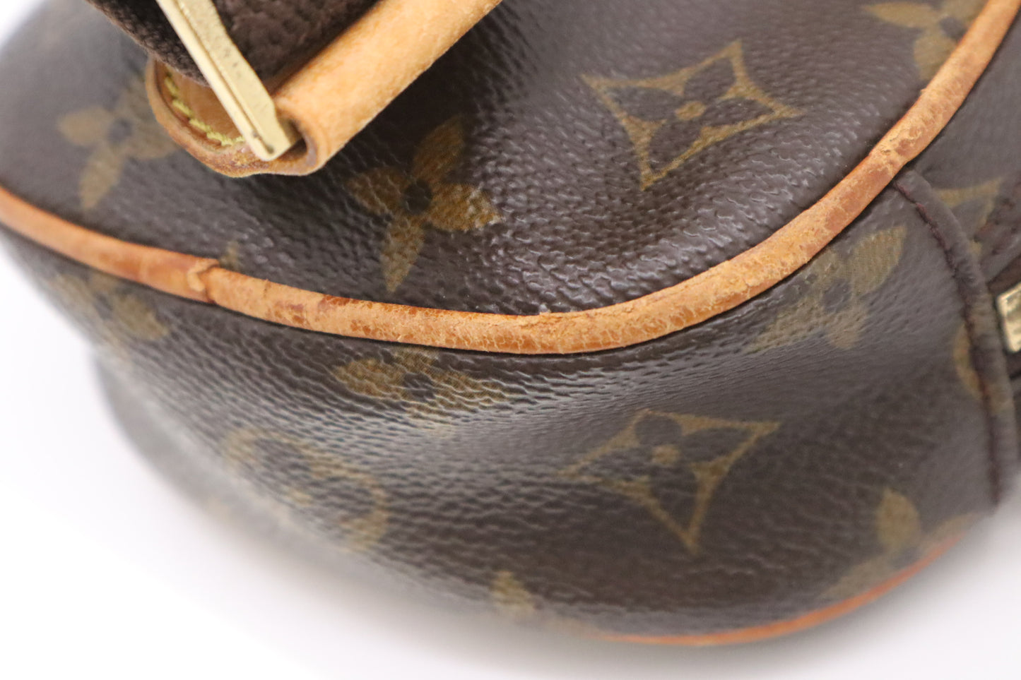 Louis Vuitton Pochette Gange in Monogram Canvas