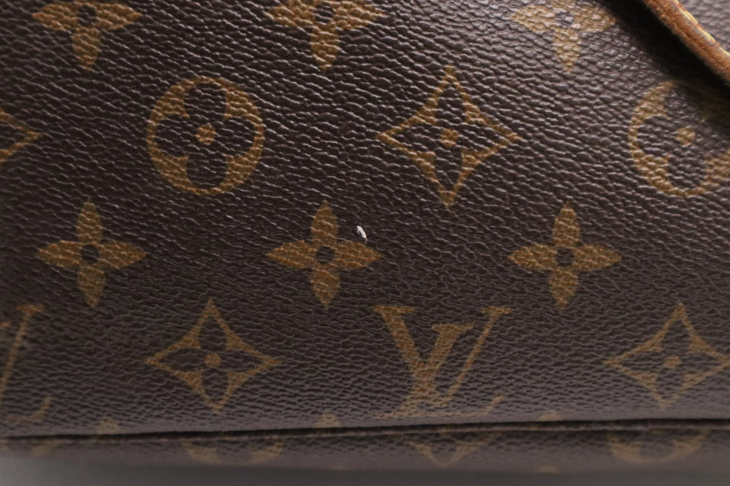 Louis Vuitton Neverfull MM in Monogram Canvas