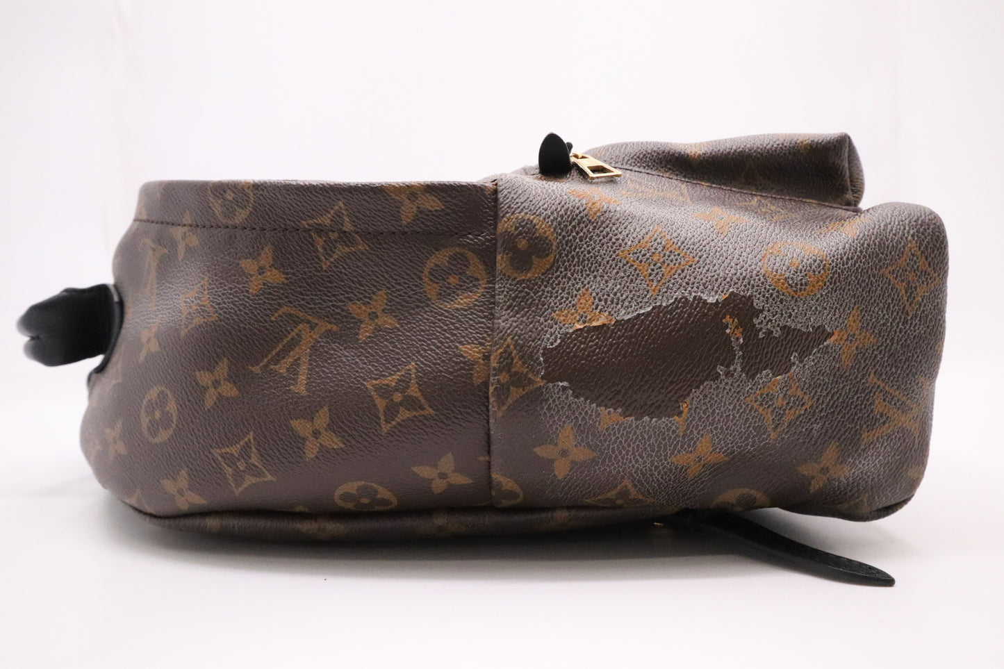 Louis Vuitton Palm Springs MM Backpack in Monogram Canvas