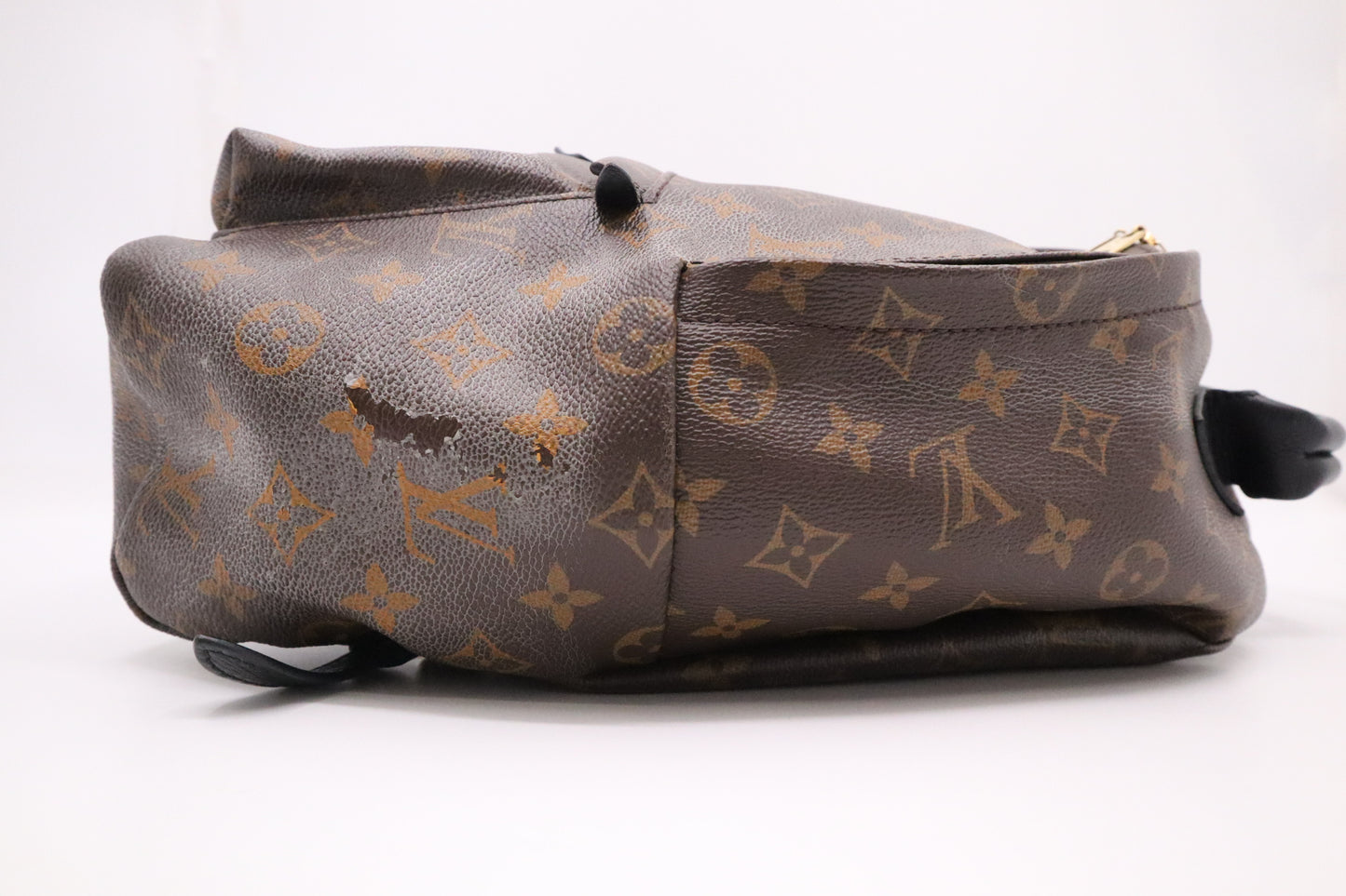 Louis Vuitton Palm Springs MM Backpack in Monogram Canvas