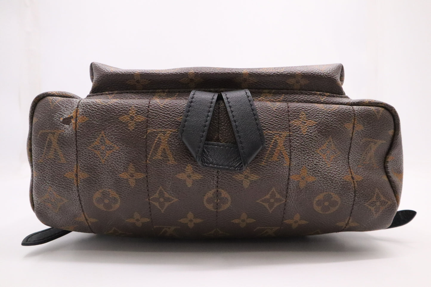 Louis Vuitton Palm Springs MM Backpack in Monogram Canvas