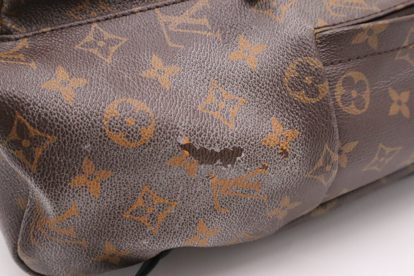 Louis Vuitton Palm Springs MM Backpack in Monogram Canvas