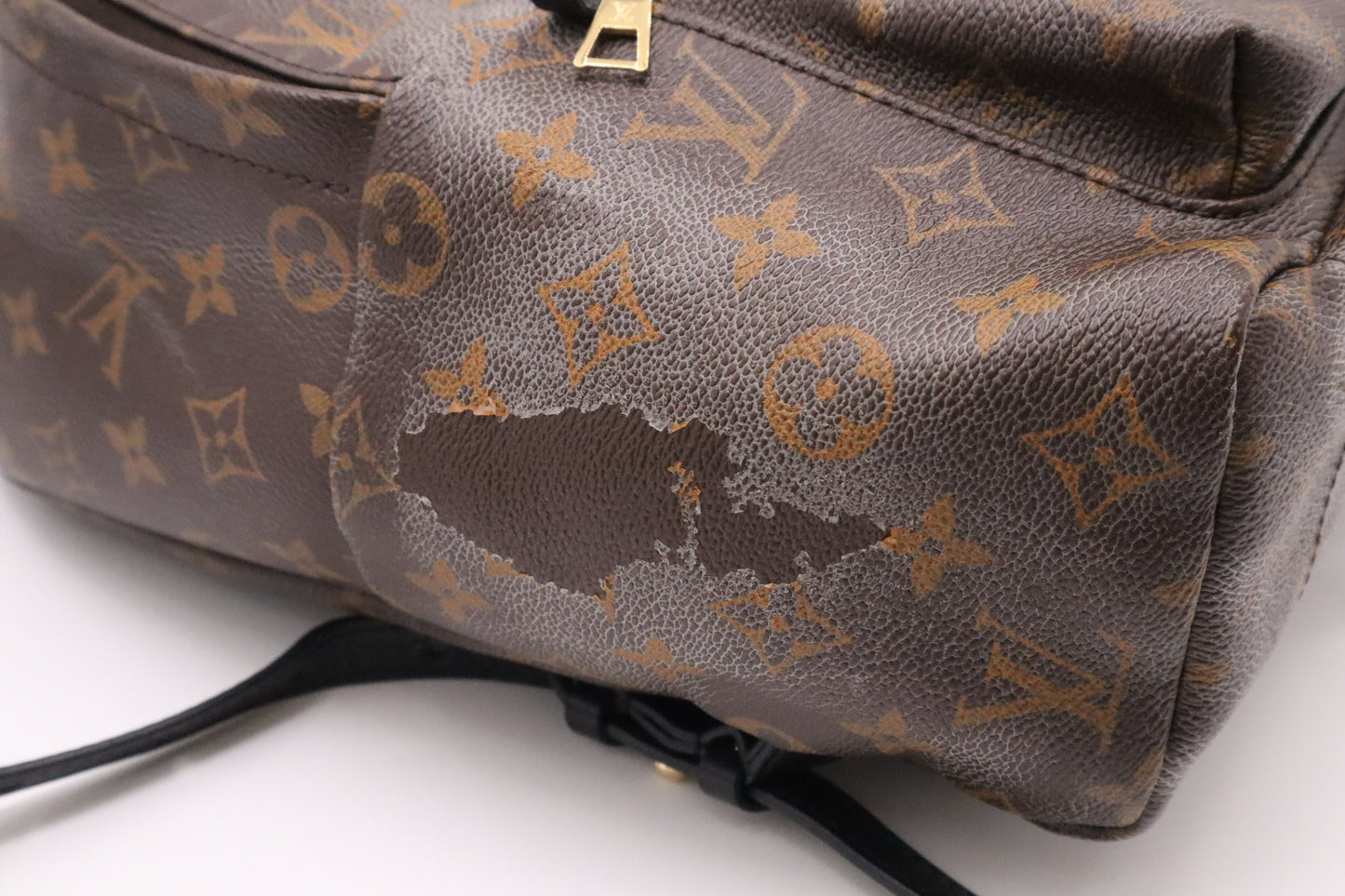 Louis Vuitton Palm Springs MM Backpack in Monogram Canvas