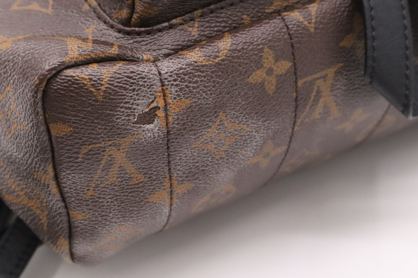 Louis Vuitton Palm Springs MM Backpack in Monogram Canvas