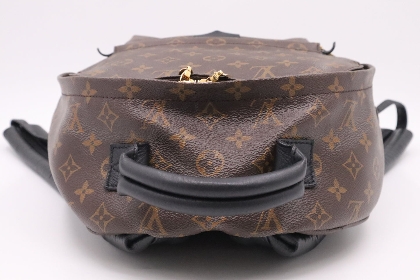Louis Vuitton Palm Springs MM Backpack in Monogram Canvas