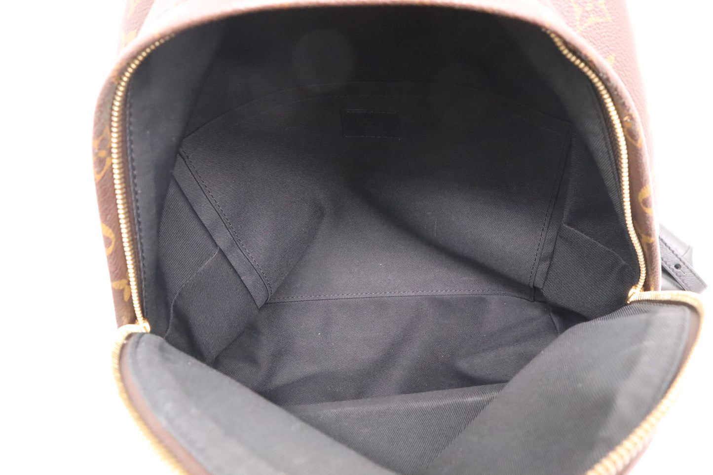 Louis Vuitton Palm Springs MM Backpack in Monogram Canvas