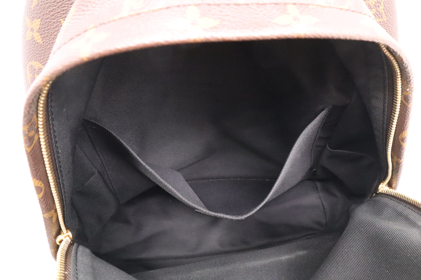 Louis Vuitton Palm Springs MM Backpack in Monogram Canvas