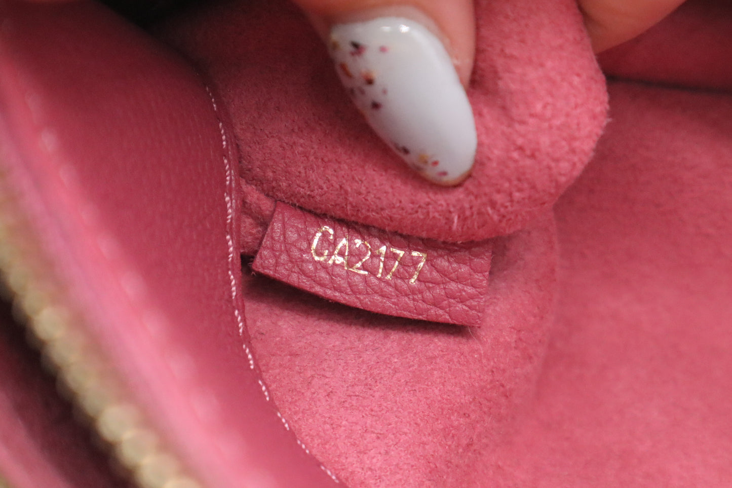 Louis Vuitton Pallas in Pink Leather & Monogram Canvas