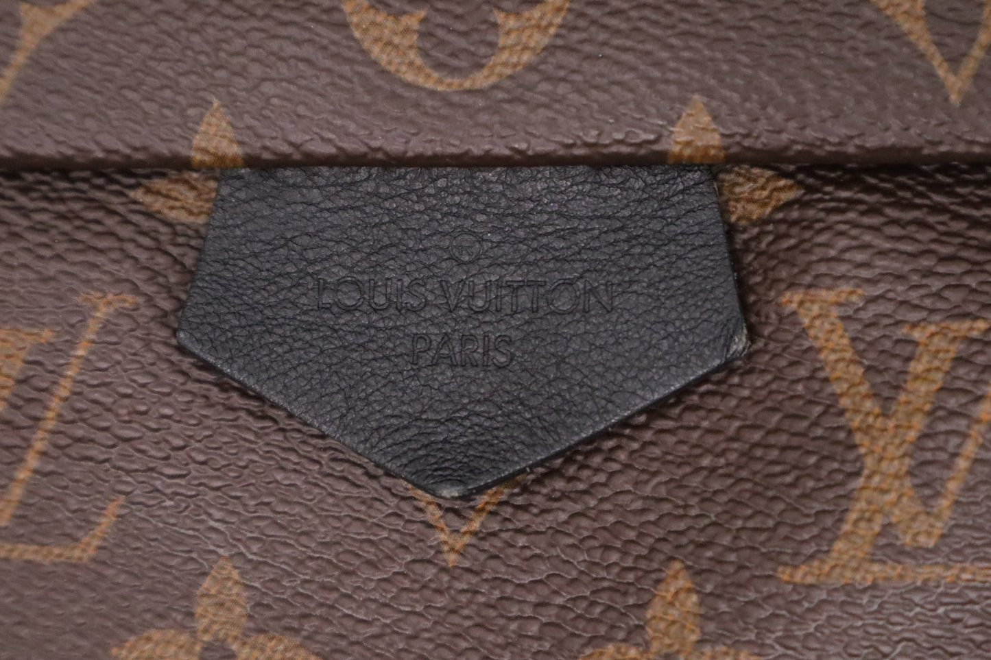 Louis Vuitton Palm Springs MM Backpack in Monogram Canvas