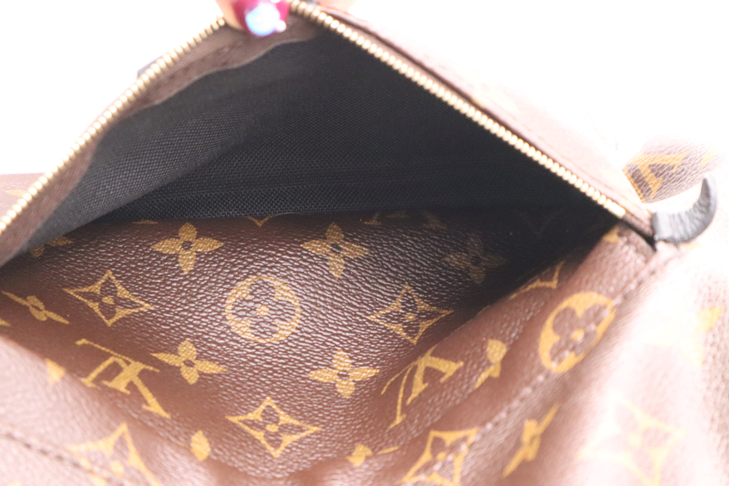 Louis Vuitton Palm Springs MM Backpack in Monogram Canvas