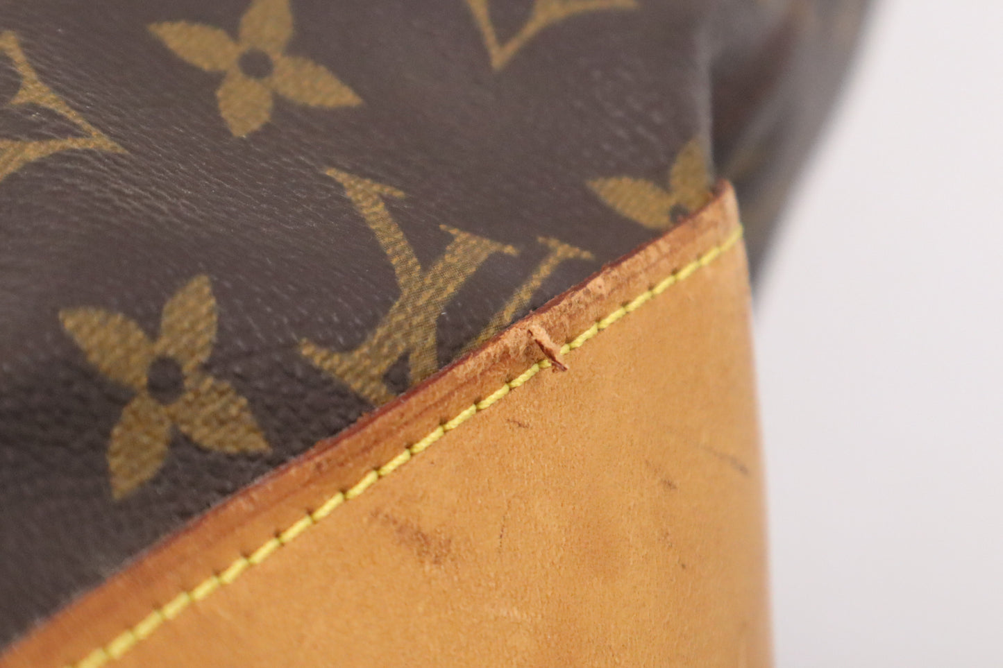 Louis Vuitton Cabas Alto in Monogram Canvas