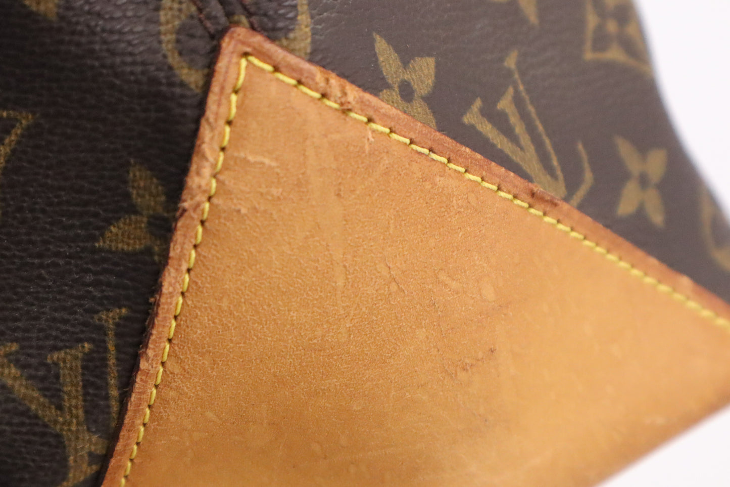 Louis Vuitton Cabas Alto in Monogram Canvas