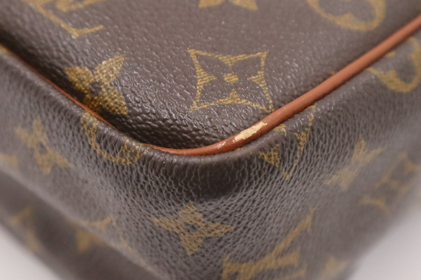Louis Vuitton Nile PM in Monogram Canvas