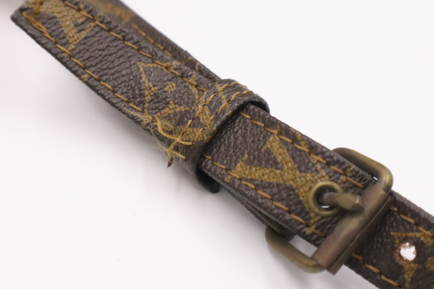 Louis Vuitton Nile PM in Monogram Canvas