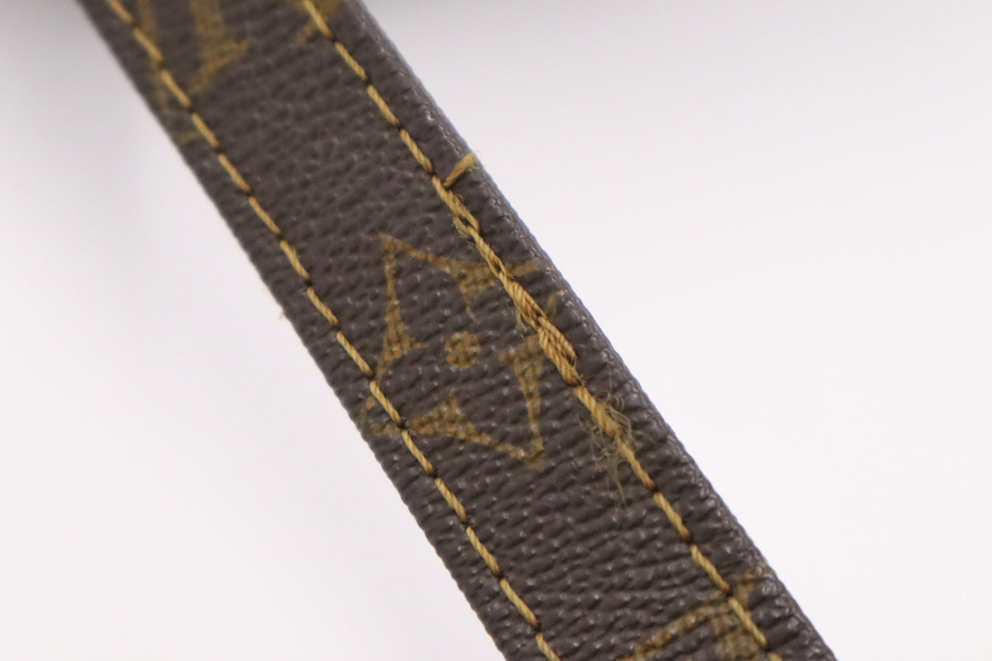 Louis Vuitton Nile PM in Monogram Canvas