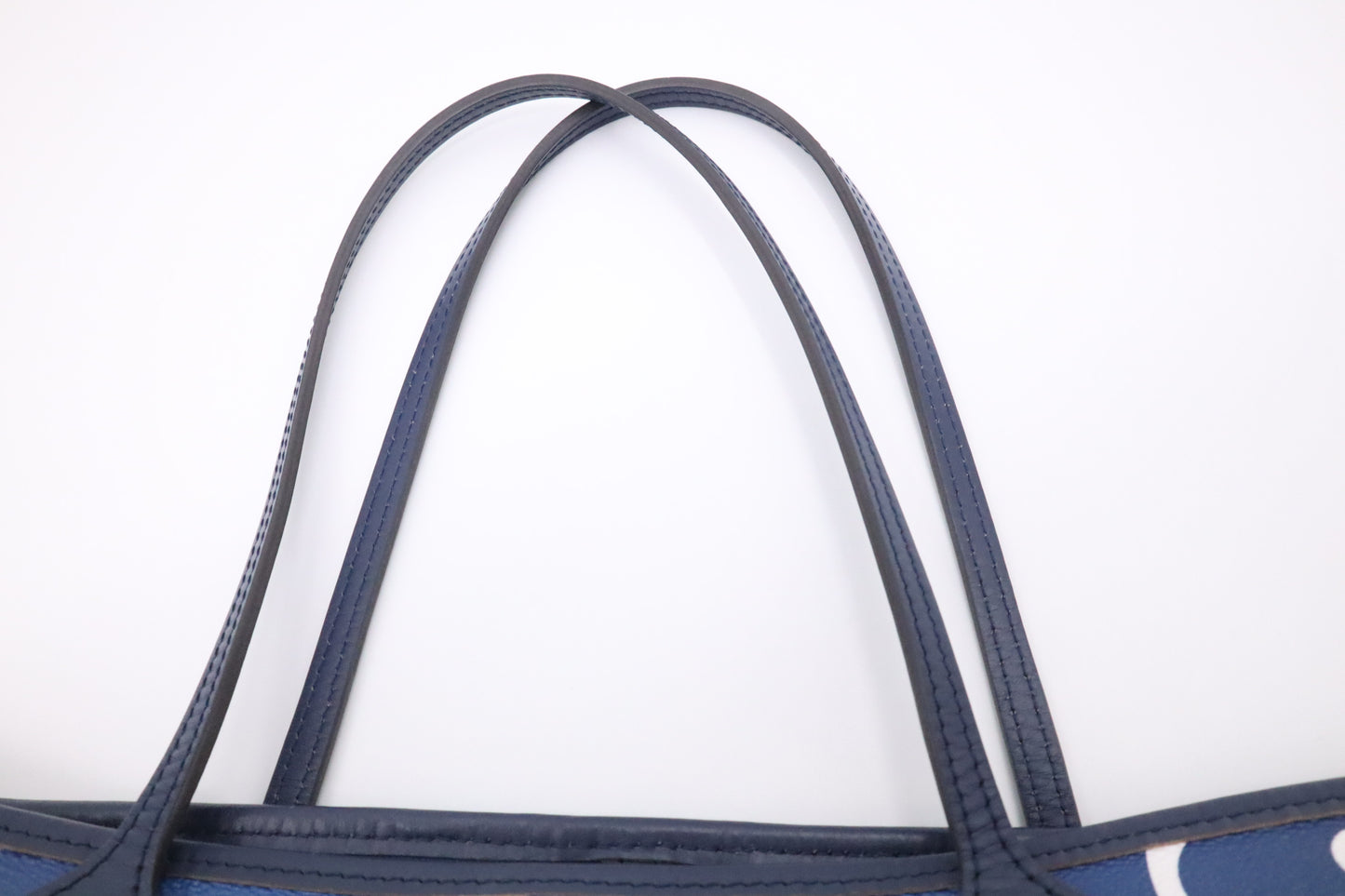 Neverfull MM in Blue Escale Monogram Canvas