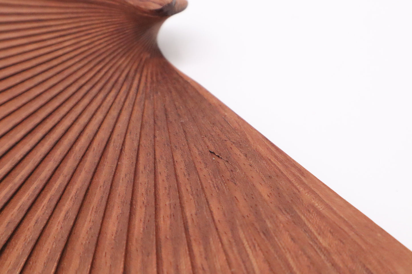 Loewe Folding Fan in Brown and Cream