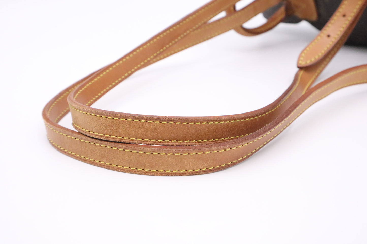 Louis Vuitton Montsouris PM in Monogram Canvas
