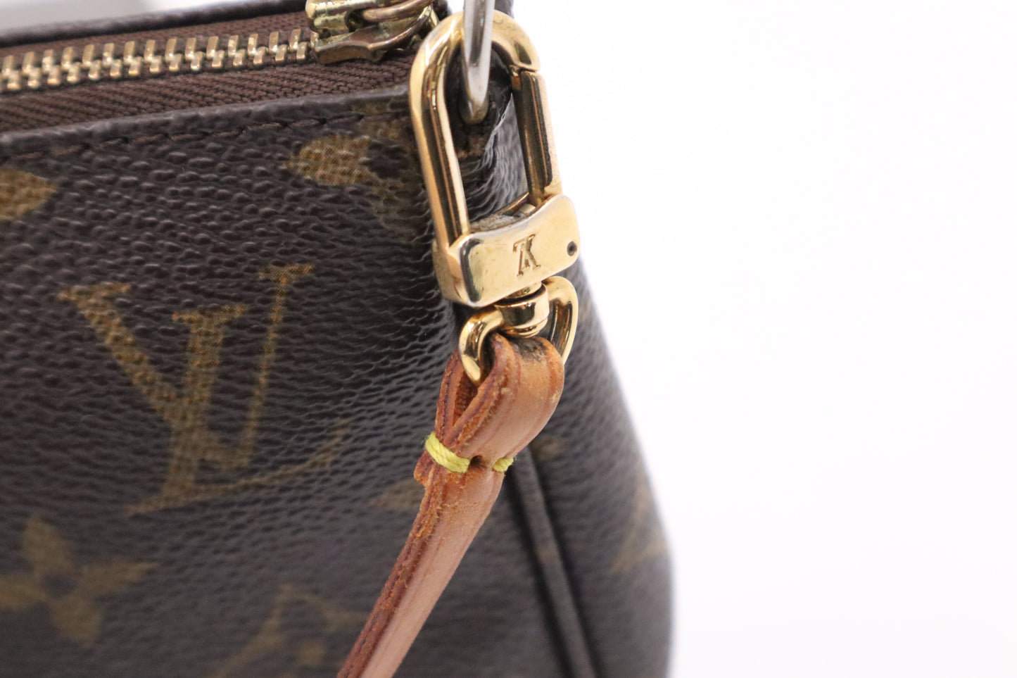 Louis Vuitton Pochette Accessoires in Monogram Canvas
