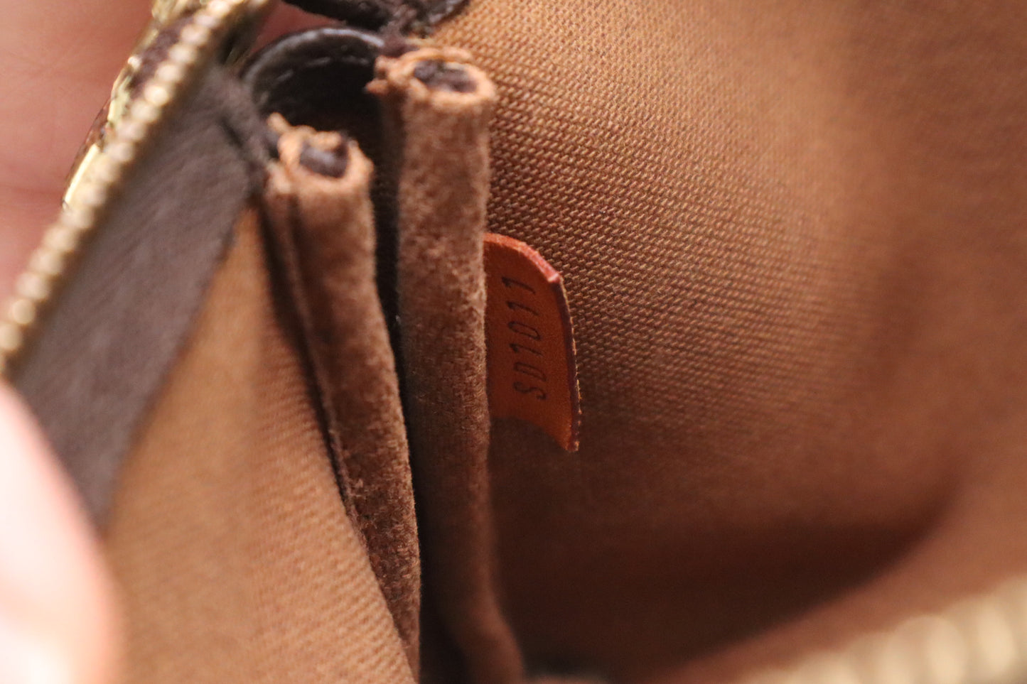 Louis Vuitton Pochette Accessoires in Monogram Canvas