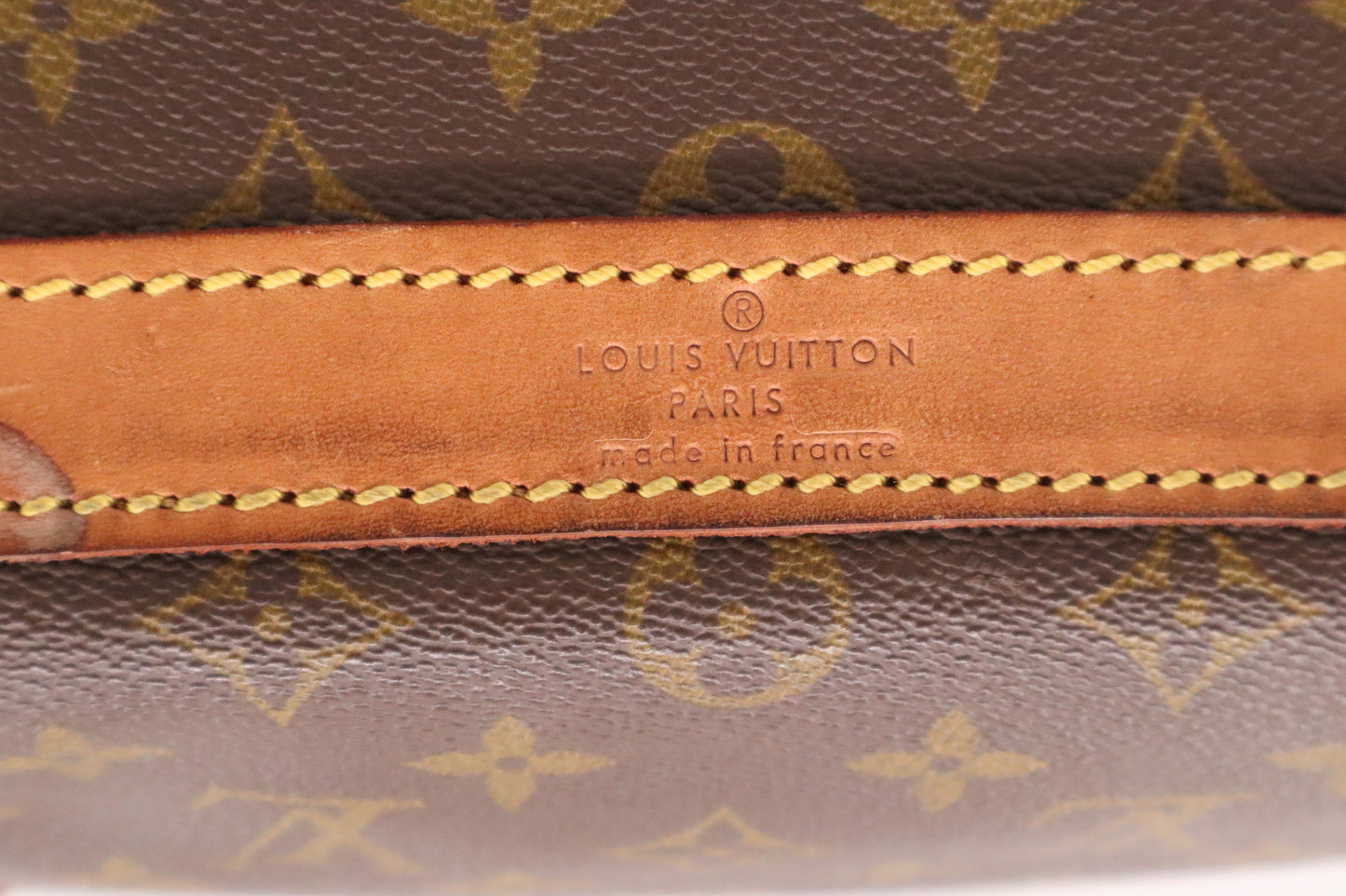 Louis Vuitton Sac Chaussure in Monogram Canvas