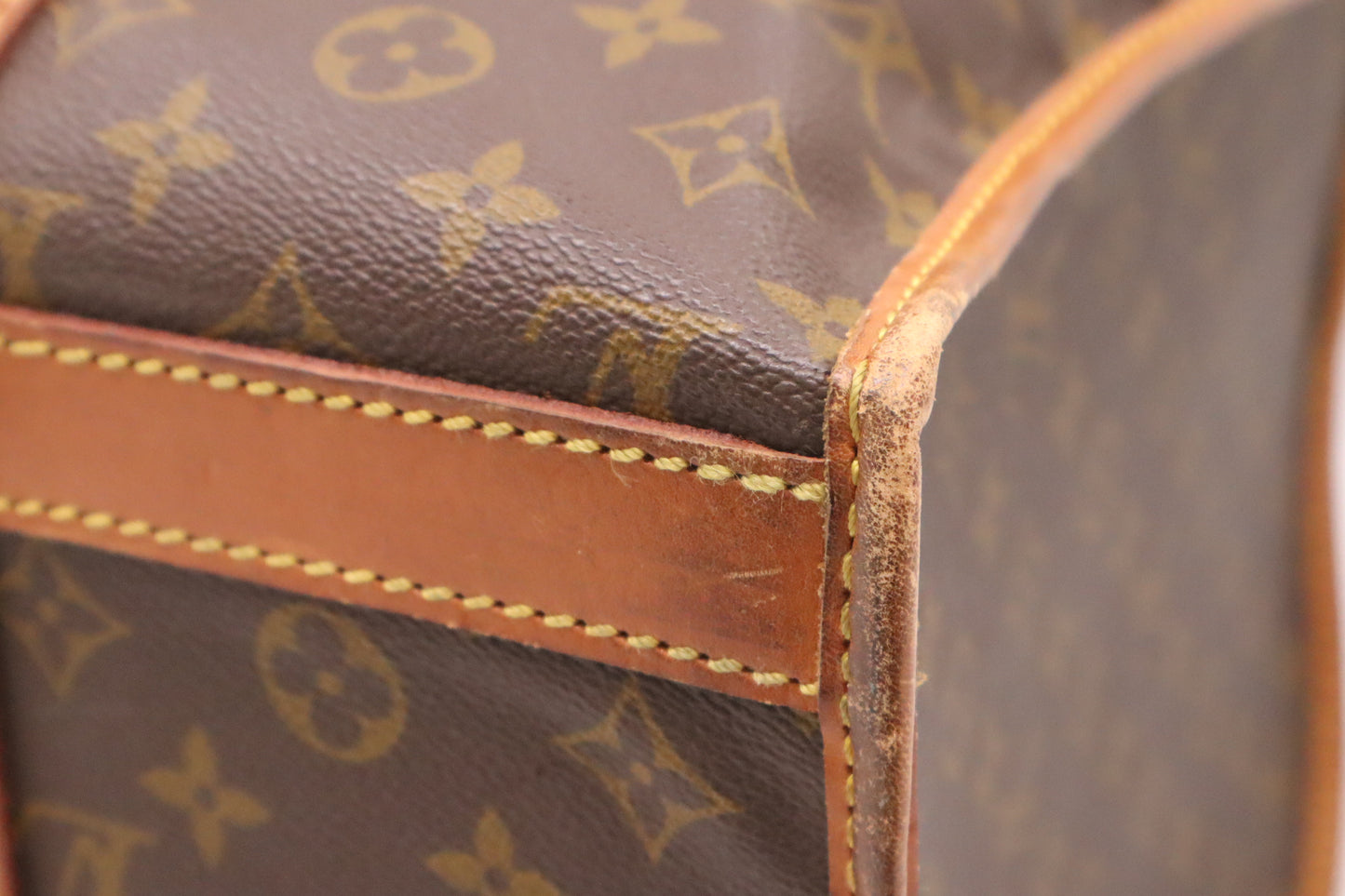Louis Vuitton Sac Chaussure in Monogram Canvas