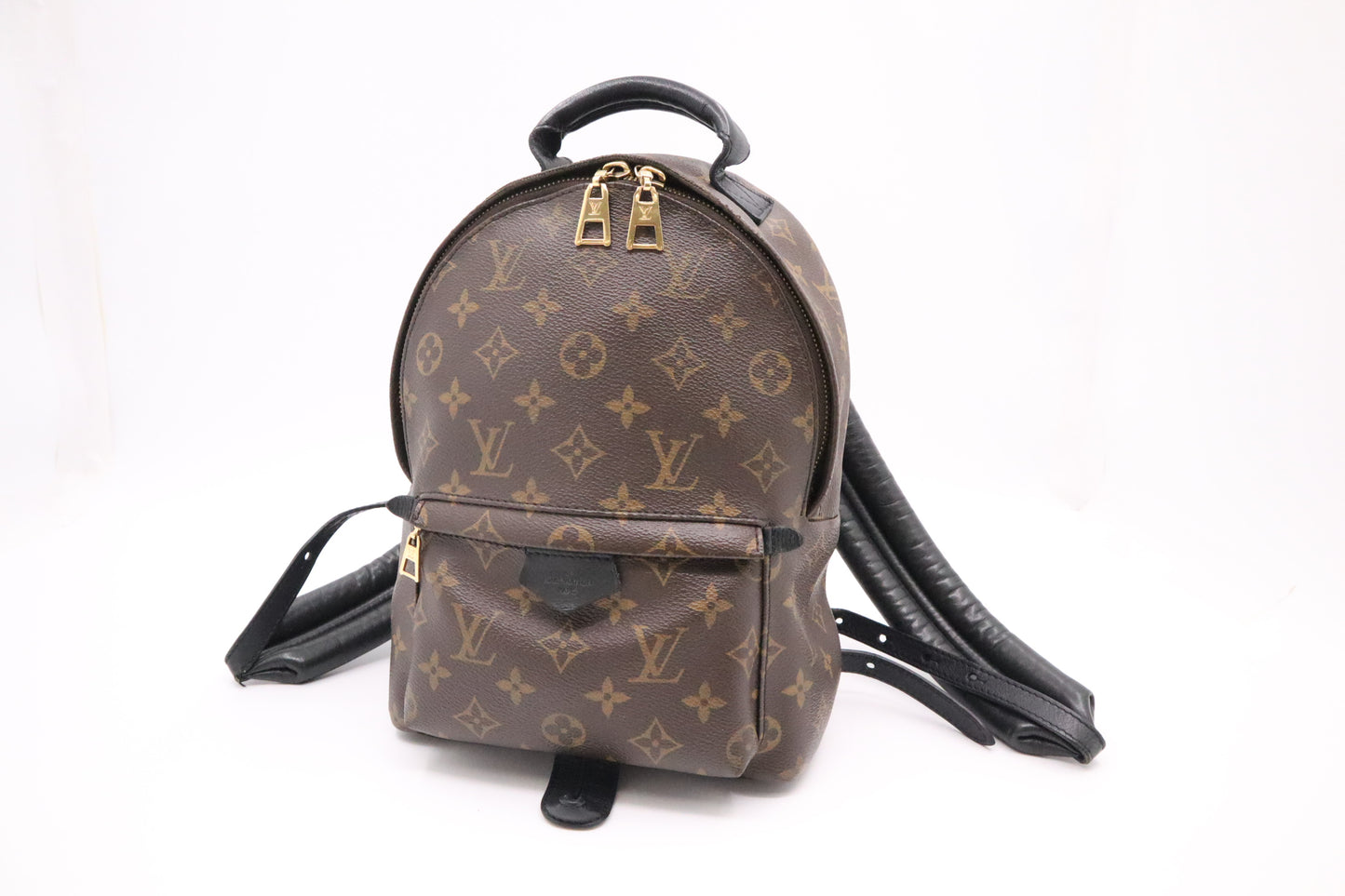 Louis Vuitton Palm Springs PM in Monogram Canvas