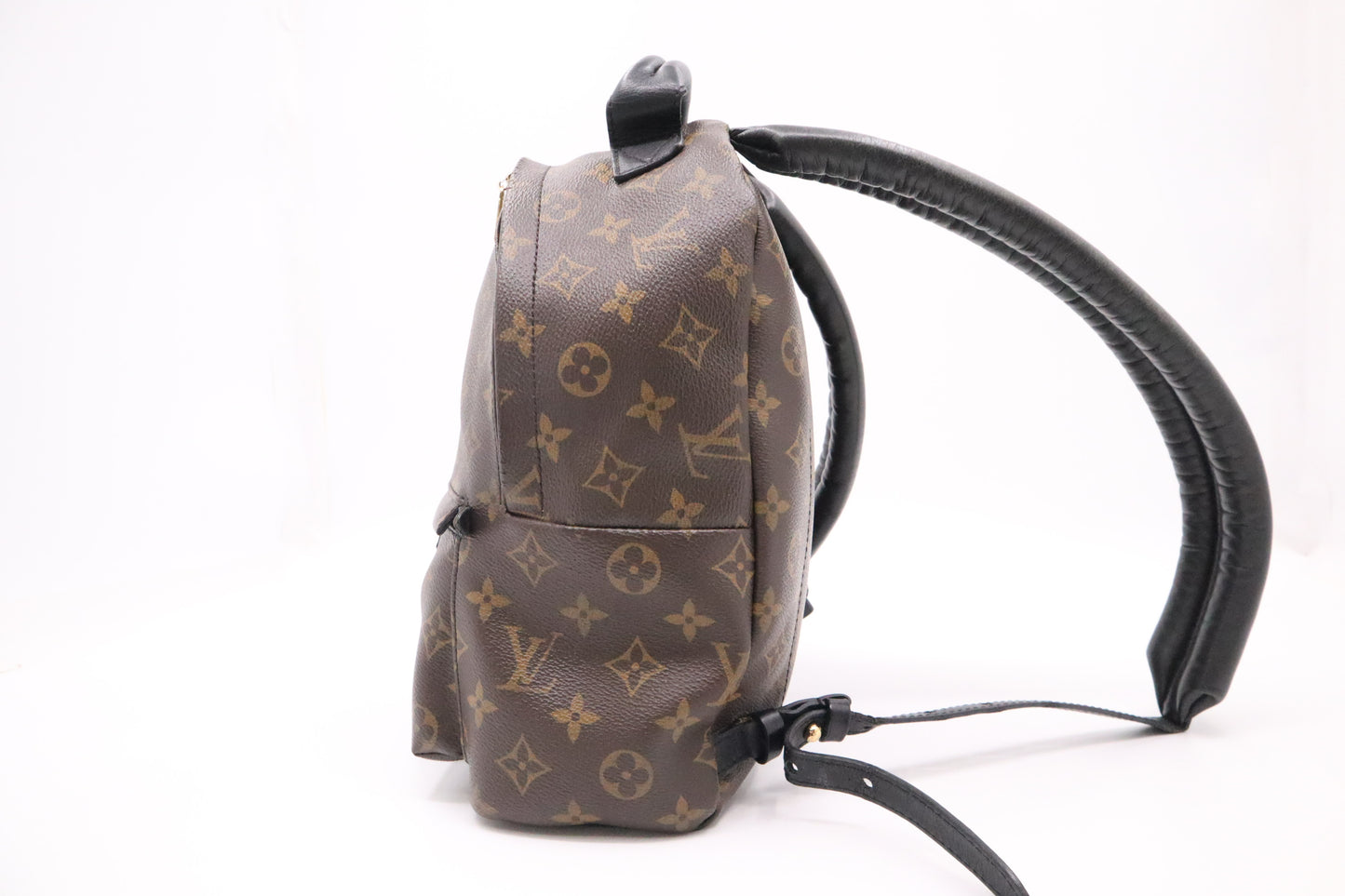 Louis Vuitton Palm Springs PM in Monogram Canvas