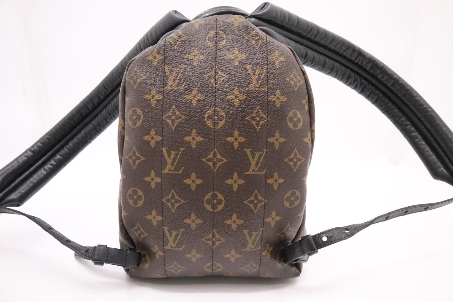Louis Vuitton Palm Springs PM in Monogram Canvas