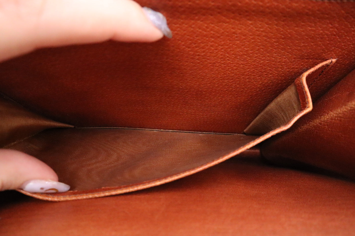 Louis Vuitton Sac Dauphine in Monogram Canvas